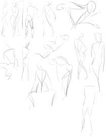 545x701