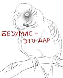 638x778