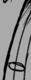 160x406