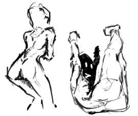 1464x1237