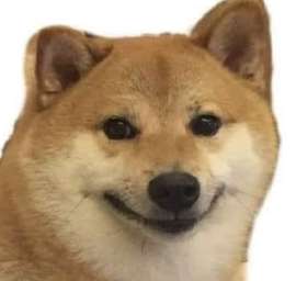 429x407