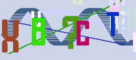 270x120