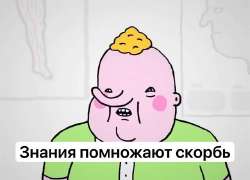 640x461