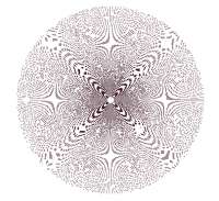 977x895
