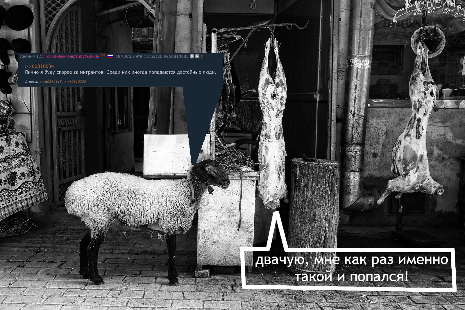 1600x1067
