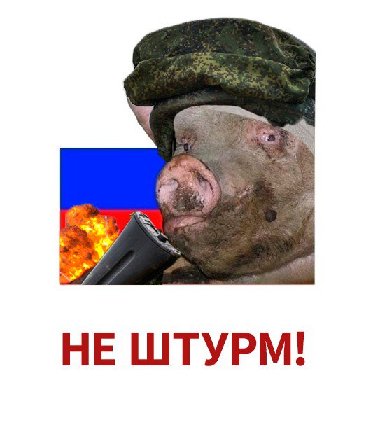 540x617