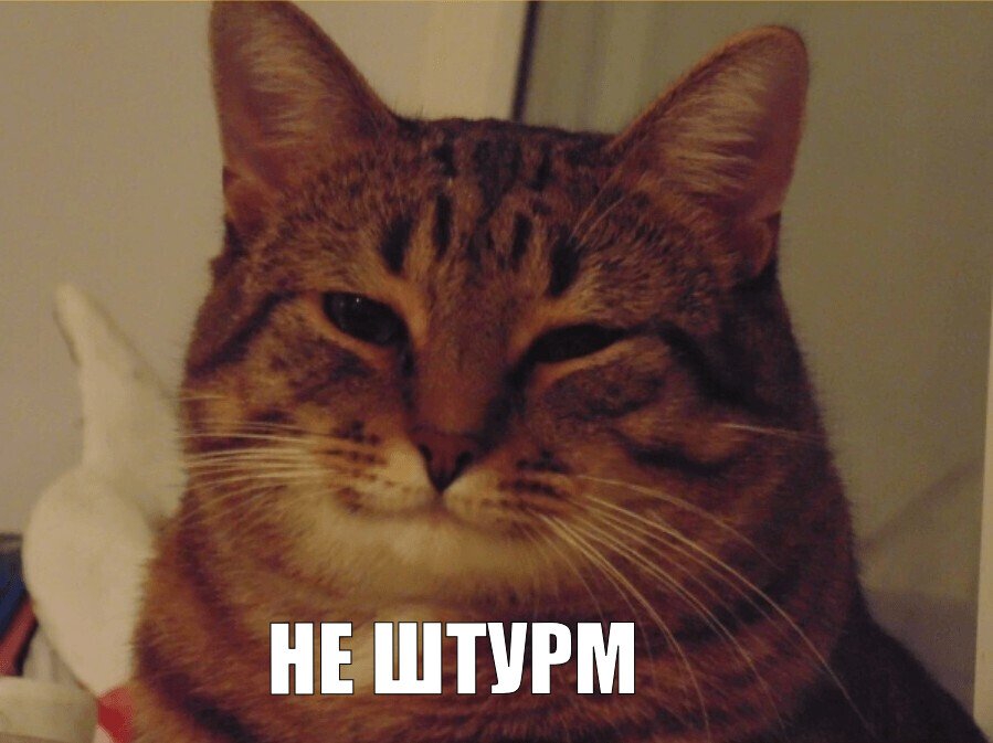 899x673