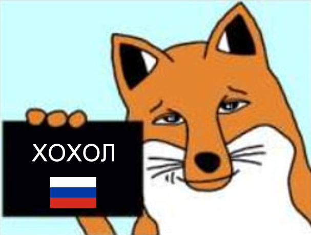 607x458