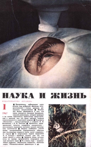 300x481