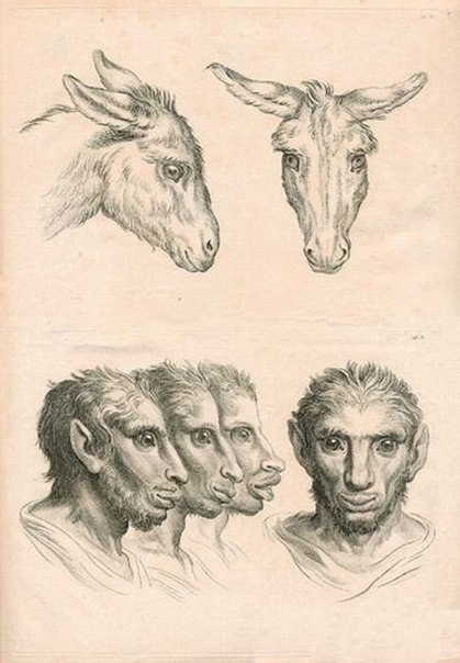 419x604