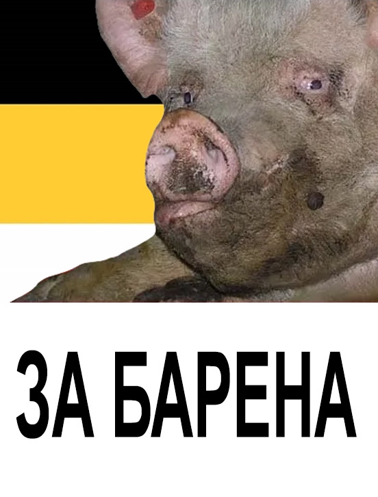 552x726