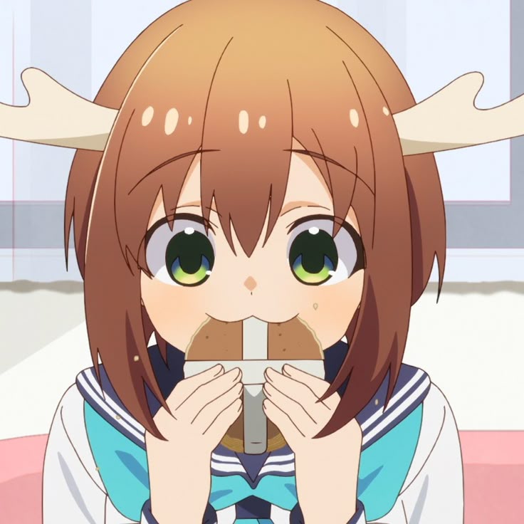 736x736
