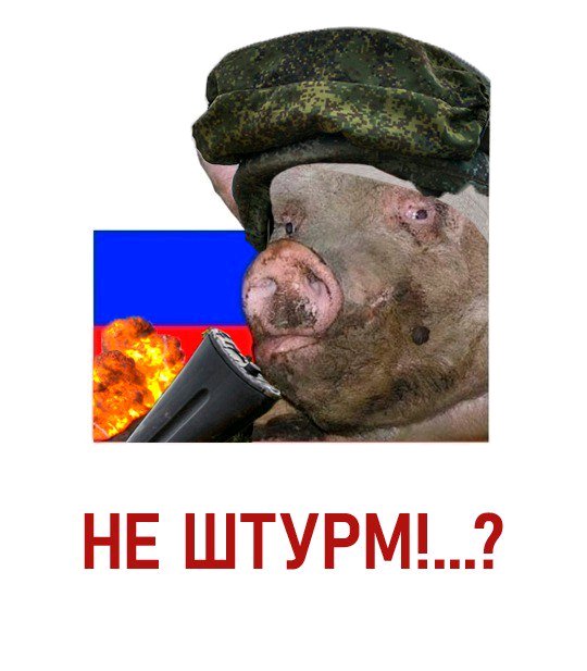 540x617