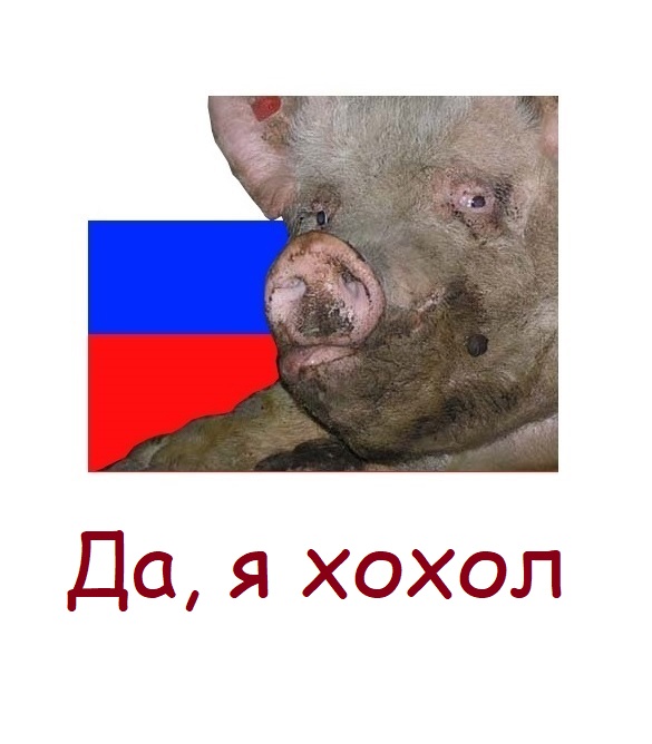 585x668