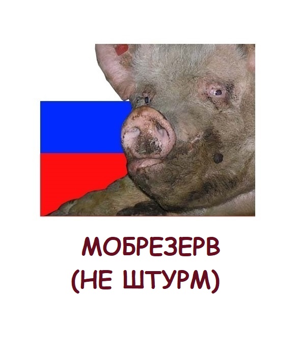 585x668