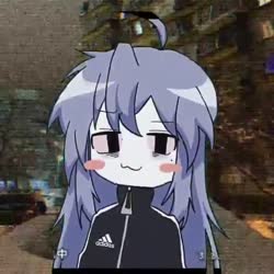 720x720