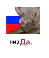 614x724