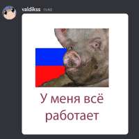 403x402