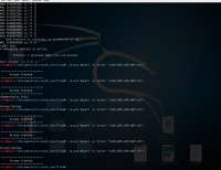 1244x959