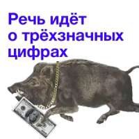 300x300
