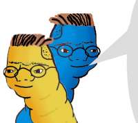 592x532