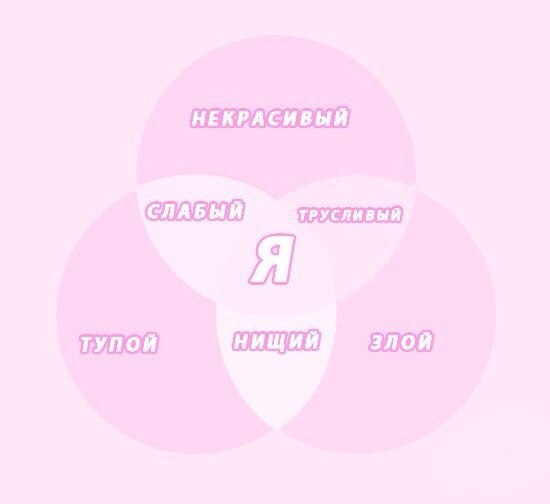 550x504