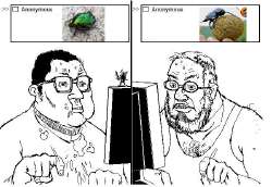 649x448