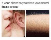 500x393