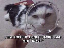 500x375