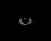 220x176