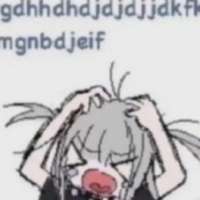 736x736
