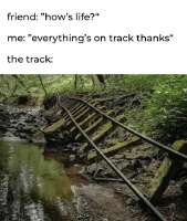 460x544