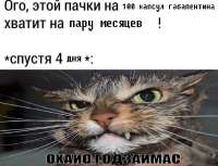 1013x778
