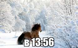 736x460