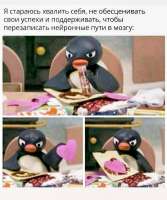 720x862