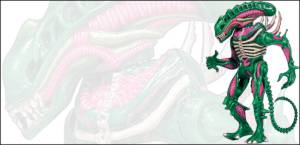 495x240