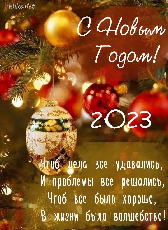 540x738
