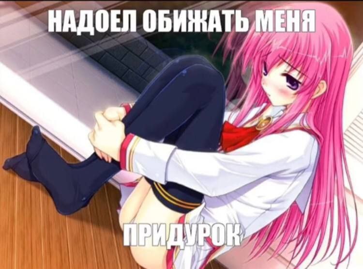 750x555