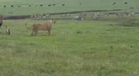400x220