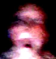 430x456