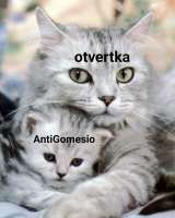 864x1080