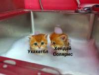 1080x830