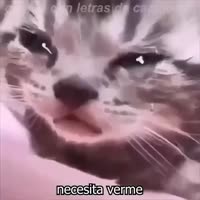 360x360