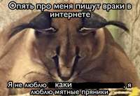 1200x822