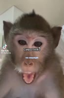 576x884