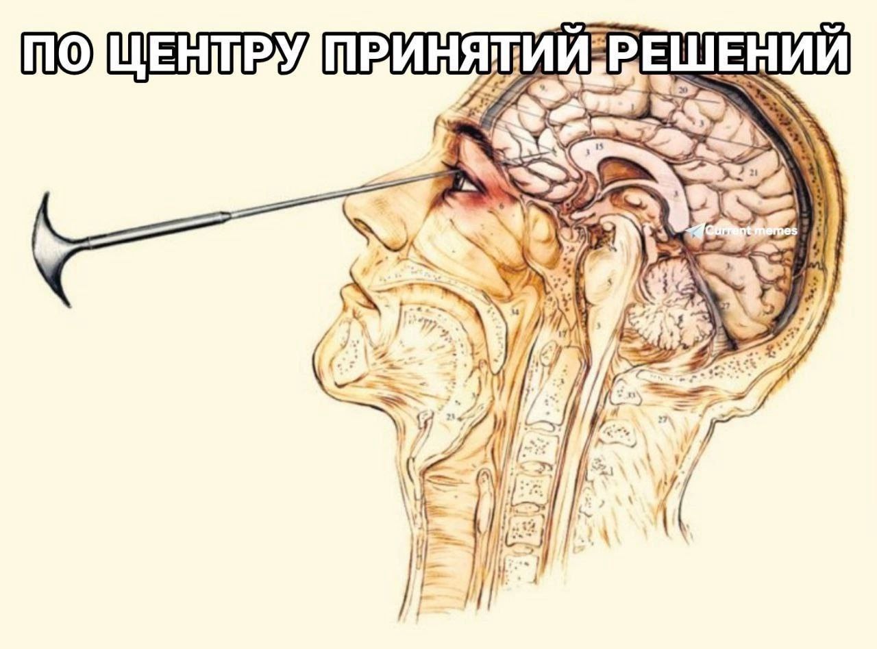 1280x948