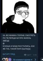 285x408
