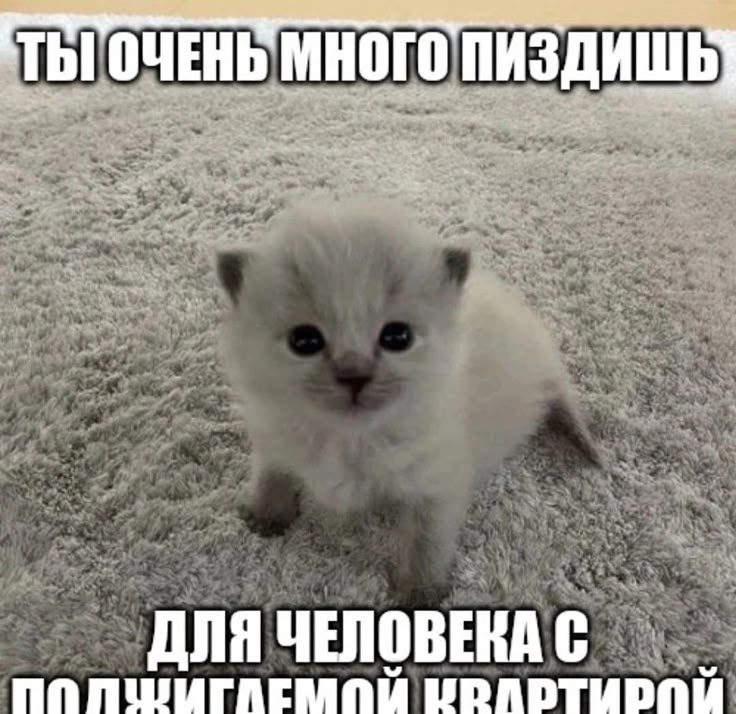 736x714