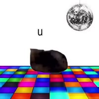 720x720