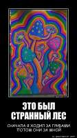 450x797